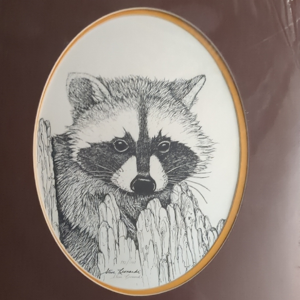 Steve Leonardi  Raccoon Sketch Art Print 193/1000